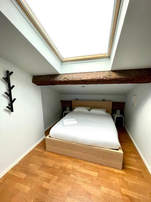 Le Charmeur - Appartement Climatise Avec 2 Chambres - Hypercentre Toulouse Ngoại thất bức ảnh