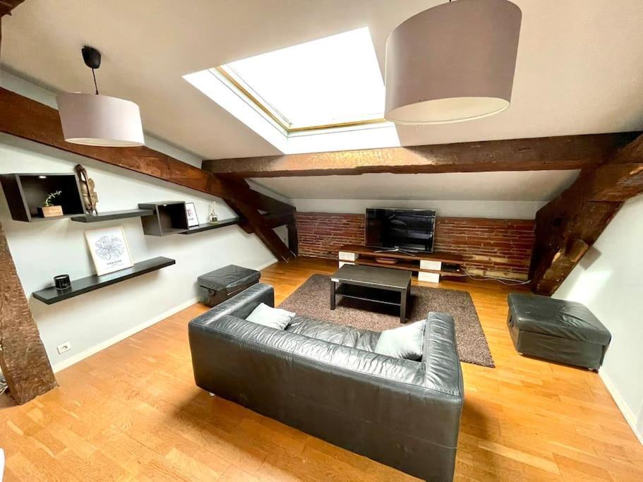 Le Charmeur - Appartement Climatise Avec 2 Chambres - Hypercentre Toulouse Ngoại thất bức ảnh