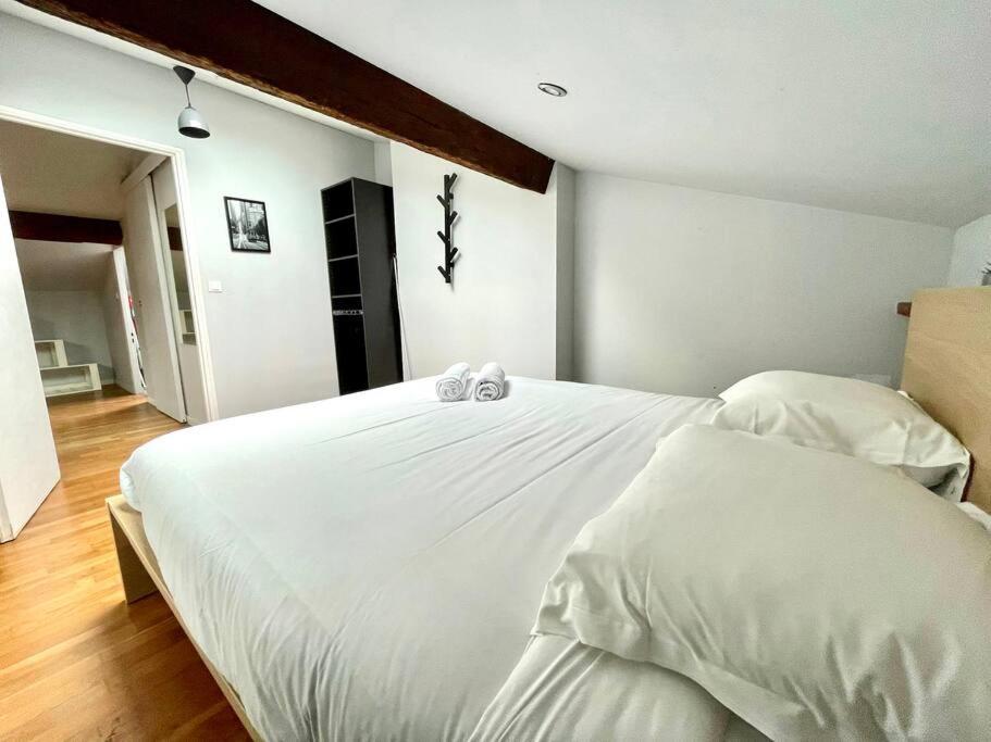 Le Charmeur - Appartement Climatise Avec 2 Chambres - Hypercentre Toulouse Ngoại thất bức ảnh