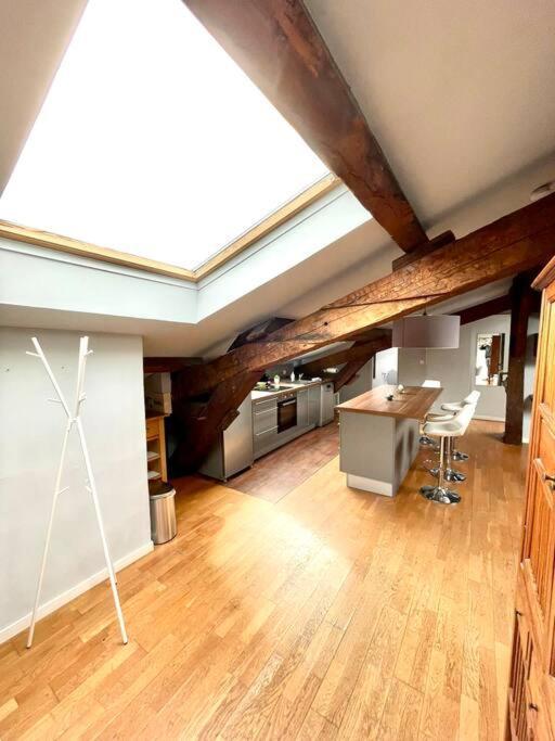 Le Charmeur - Appartement Climatise Avec 2 Chambres - Hypercentre Toulouse Ngoại thất bức ảnh